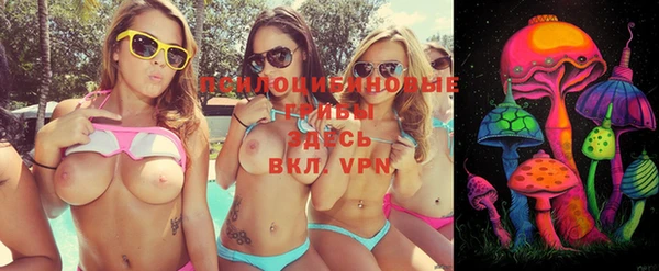 амфетамин Новодвинск